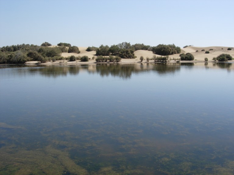 DSCN0637