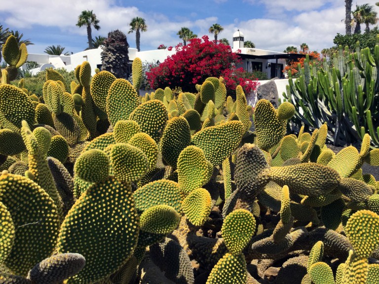 2015-09-10 14.31.54-1