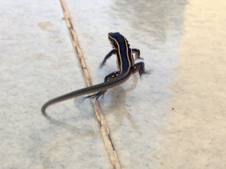 2015-09-10 15.46.23-1