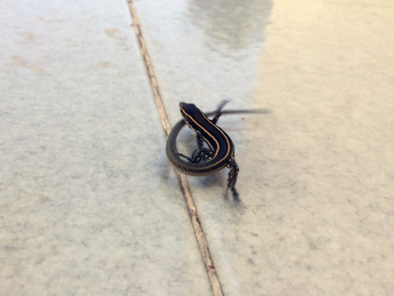 2015-09-10 15.46.23-2